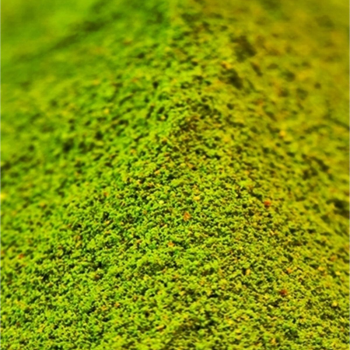 Grüne pulverisierte Pistazienkerne